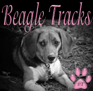 Beagle Tracks -default_2_edited-1